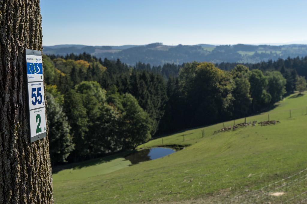 Ferienappartements Rausch Presseck Exteriör bild
