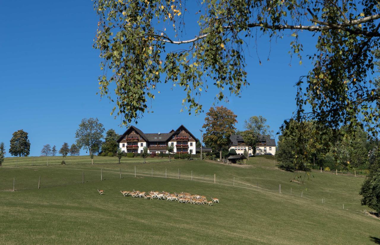 Ferienappartements Rausch Presseck Exteriör bild